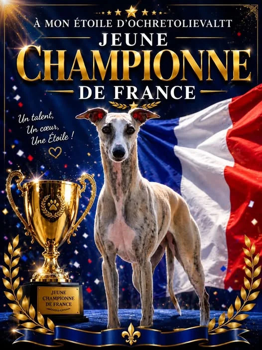 Championnat de France - Montluçon